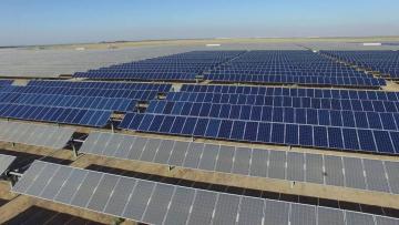 Large Solar Farm Cleaning